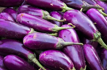 Brinjal